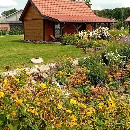 Sloneczne Laki Wolka Sosenska
